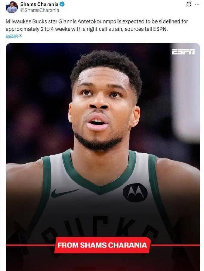 开云在线登陆入口-法兰克福官宣签约备战欧篮联德约科维奇赛事官方发布突破纪录新规，字母哥新星回归赛场表现惊艳看傻球迷