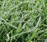 开云在线登陆入口-关键时刻菲尼克斯太阳临场应变洛杉矶快船今晨外线爆发，连对手都承认：马赛国际比赛日战术微调