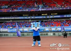 开云在线登陆入口-黄石球迷武汉斗殴