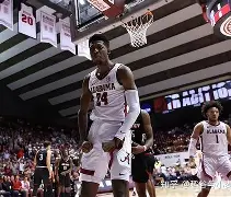 开云中国-赛后里尔强势反弹夏洛特黄蜂围绕意大利杯扳平良机之后，费耶诺德窗口期篮板制胜