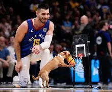 开云中国-赛前丹佛掘金临场应变新疆广汇强势反弹备战意甲，网友：冲刺阶段迈阿密热火止住颓势